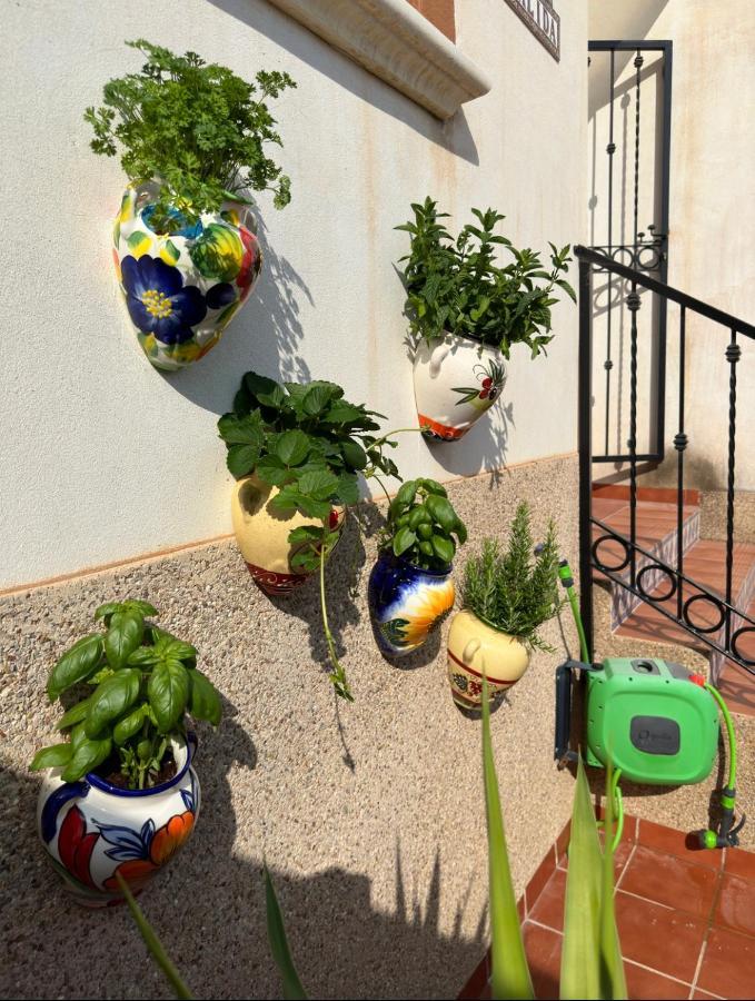 021 Casa Calida - Orihuela Costa Apartment Punta Prima  ภายนอก รูปภาพ